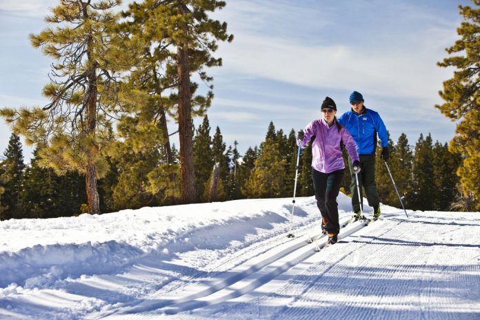 беговые лыжи польза для здоровья
